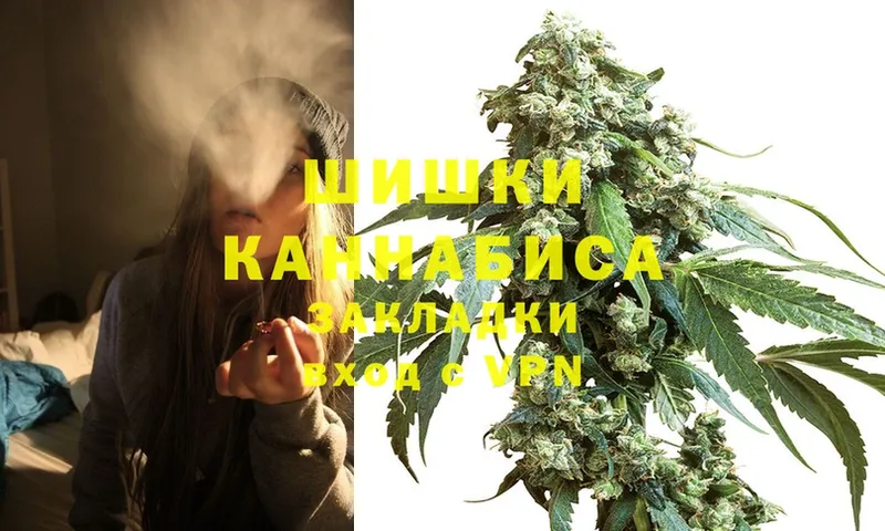 купить   Новосибирск  Шишки марихуана SATIVA & INDICA 